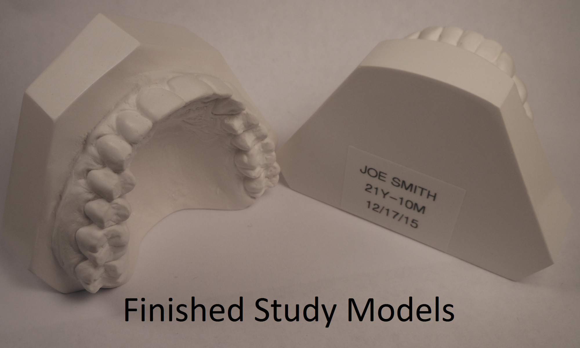 studymodelF.png