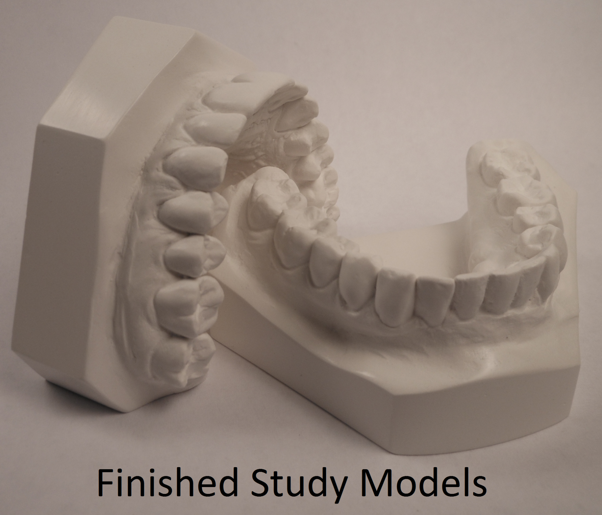 studymodelF2.png